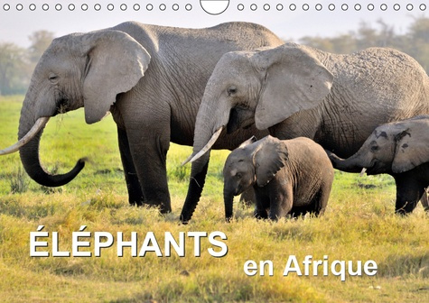 Emprunter ELEPHANTS EN AFRIQUE (CALENDRIER MURAL 2019 DIN A4 HORIZONTAL) - LES ELEPHANTS D'AFRIQUE SONT IMPOSA livre