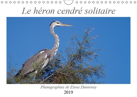 Emprunter LE HERON CENDRE SOLITAIRE (CALENDRIER MURAL 2019 DIN A4 HORIZONTAL) - L'ELEGANT HERON CENDRE DANS DI livre
