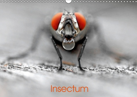 Emprunter INSECTUM (CALENDRIER MURAL 2019 DIN A3 HORIZONTAL) - LE MONDE FANTASTIQUE DES INSECTES (CALENDRIER M livre