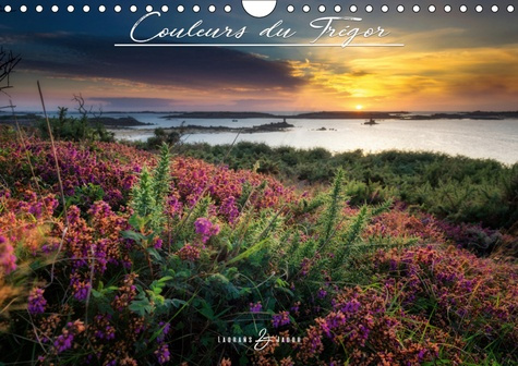 Emprunter COULEURS DU TREGOR (CALENDRIER MURAL 2019 DIN A4 HORIZONTAL) - SELECTION PHOTOS DE 2017 (CALENDRIER livre