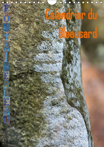 Emprunter CALENDRIER DU BLEAUSARD (CALENDRIER MURAL 2019 DIN A4 VERTICAL) - LE CALENDRIER DE TOUS LES GRIMPEUR livre