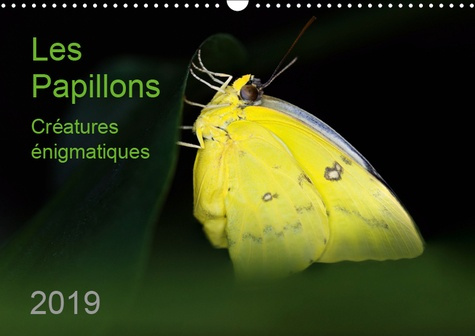 Emprunter LES PAPILLONS - CREATURES ENIGMATIQUES (CALENDRIER MURAL 2019 DIN A3 HORIZONTAL) - PORTRAITS DE DOUZ livre