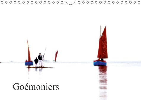 Emprunter GOEMONIERS (CALENDRIER MURAL 2019 DIN A4 HORIZONTAL) - LES VIEUX GREEMENTS ONT A NOUVEAU LA COTE AVE livre