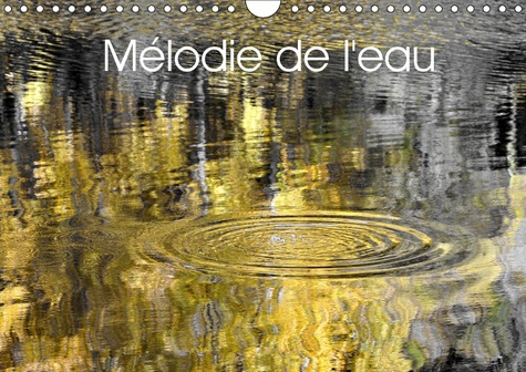 Emprunter MELODIE DE L'EAU (CALENDRIER MURAL 2019 DIN A4 HORIZONTAL) - MOUVEMENTS ET REFLETS DES COURS D'EAU ( livre