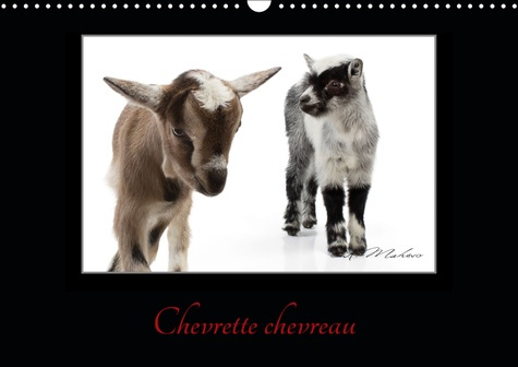 Emprunter CHEVRETTE CHEVREAU (CALENDRIER MURAL 2019 DIN A3 HORIZONTAL) - LA CHEVRE UN ETRE INTELLIGENT ET CURI livre