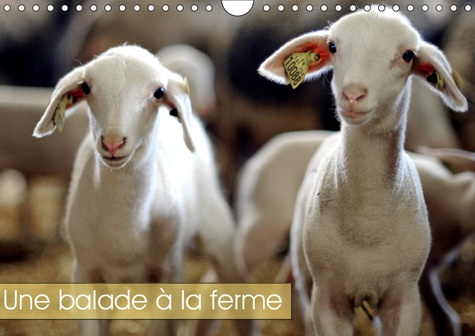 Emprunter UNE BALADE A LA FERME (CALENDRIER MURAL 2019 DIN A4 HORIZONTAL) - LES ANIMAUX DE LA FERME (CALENDRIE livre