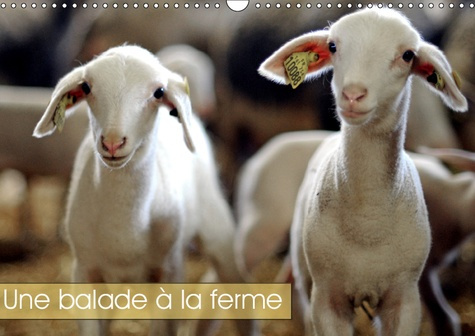 Emprunter UNE BALADE A LA FERME (CALENDRIER MURAL 2019 DIN A3 HORIZONTAL) - LES ANIMAUX DE LA FERME (CALENDRIE livre