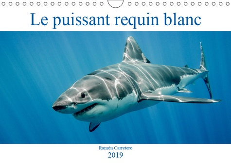 Emprunter LE PUISSANT REQUIN BLANC (CALENDRIER MURAL 2019 DIN A4 HORIZONTAL) - LE PUISSANT REQUIN BLANC (CALEN livre
