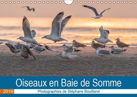 Emprunter OISEAUX EN BAIE DE SOMME (CALENDRIER MURAL 2019 DIN A4 HORIZONTAL) - LES OISEAUX DE LA BAIE DE SOMME livre