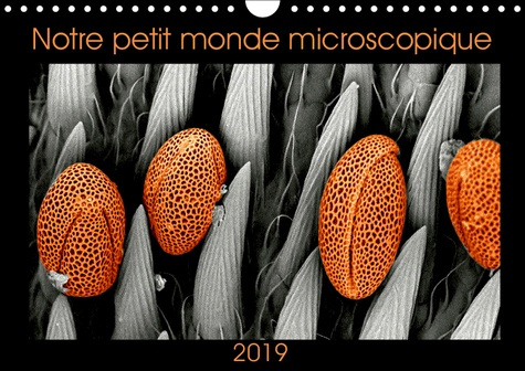 Emprunter NOTRE PETIT MONDE MICROSCOPIQUE (CALENDRIER MURAL 2019 DIN A4 HORIZONTAL) - NOTRE PETIT MONDE DANS U livre