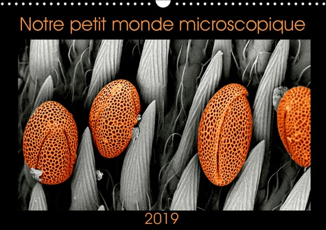 Emprunter NOTRE PETIT MONDE MICROSCOPIQUE (CALENDRIER MURAL 2019 DIN A3 HORIZONTAL) - NOTRE PETIT MONDE DANS U livre