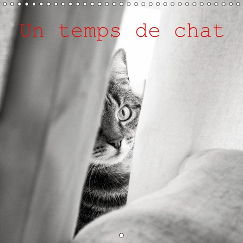 Emprunter UN TEMPS DE CHAT (CALENDRIER MURAL 2019 300 * 300 MM SQUARE) - LES TRES RICHES HEURES DE MA VIE DE C livre