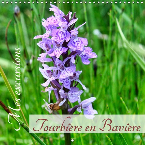 Emprunter MES EXCURSIONS. TOURBIERE EN BAVIERE. (CALENDRIER MURAL 2019 300 * 300 MM SQUARE) - PLANTES ET ANIMA livre