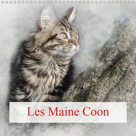 Emprunter LES MAINE COON (CALENDRIER MURAL 2019 300 * 300 MM SQUARE) - LE CHAT MAINE COON EST LE CHAT LE PLUS livre