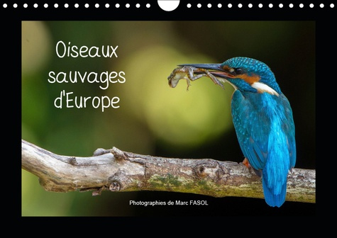 Emprunter OISEAUX SAUVAGES D'EUROPE (CALENDRIER MURAL 2019 DIN A4 HORIZONTAL) - LES PLUS BELLES ET PLUS FASCIN livre