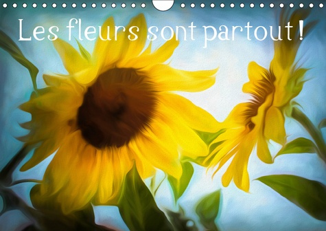 Emprunter LES FLEURS SONT PARTOUT ! (CALENDRIER MURAL 2019 DIN A4 HORIZONTAL) - COULEURS ET TEXTURES DE FLEURS livre