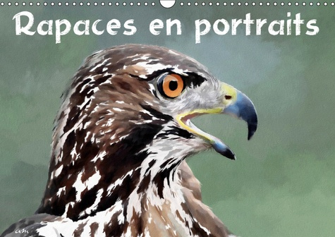 Emprunter RAPACES EN PORTRAITS (CALENDRIER MURAL 2019 DIN A3 HORIZONTAL) - SERIE DE 12 TABLEAUX, CREATIONS ORI livre