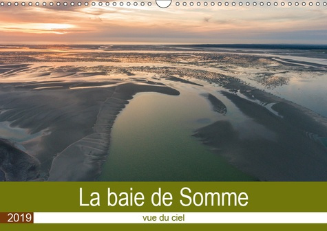 Emprunter LA BAIE DE SOMME VUE DU CIEL (CALENDRIER MURAL 2019 DIN A3 HORIZONTAL) - SURVOL DE LA BAIE DE SOMME livre