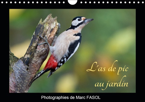 Emprunter L'AS DE PIC AU JARDIN (CALENDRIER MURAL 2019 DIN A4 HORIZONTAL) - QUELQUES ESPECES D'OISEAUX POUVANT livre