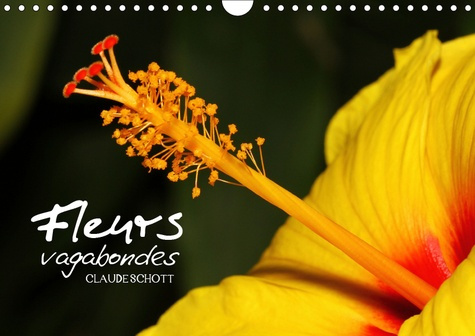 Emprunter FLEURS VAGABONDES (CALENDRIER MURAL 2019 DIN A4 HORIZONTAL) - 14 PAGES DE MAGNIFIQUES PHOTOGRAPHIES livre