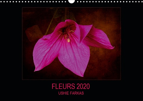 Emprunter FLEURS 2020 ( FR - VERSION ) (CALENDRIER MURAL 2020 DIN A3 HORIZONTAL) - FLEURS AVEC TEXTURE (CALEND livre