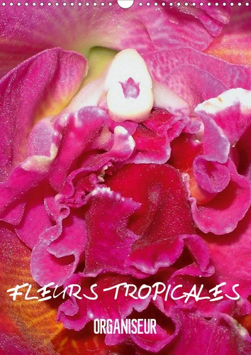 Emprunter FLEURS TROPICALES / ORGANISEUR (CALENDRIER MURAL 2020 DIN A3 VERTICAL) - LA SPLENDEUR DES FLEURS TRO livre