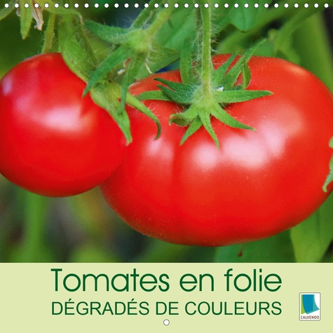 Emprunter TOMATES EN FOLIE - DEGRADES DE COULEURS (CALENDRIER MURAL 2020 300 * 300 MM SQUARE) - LES TOMATES - livre