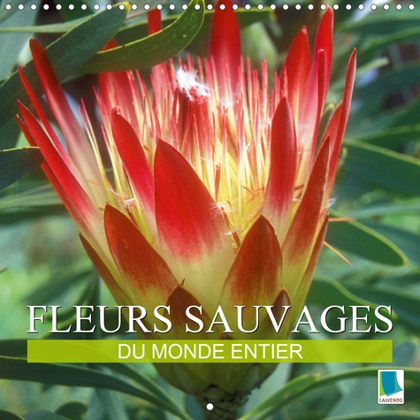 Emprunter FLEURS SAUVAGES DU MONDE ENTIER (CALENDRIER MURAL 2020 300 * 300 MM SQUARE) - LES PARENTES SAUVAGES livre