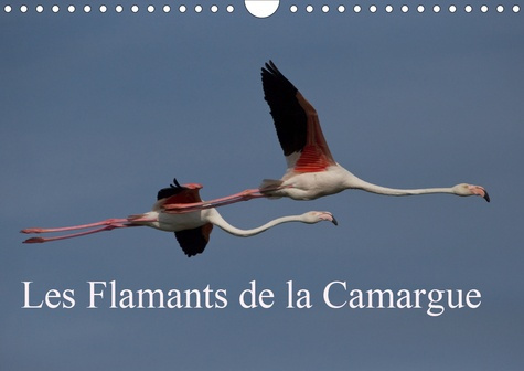 Emprunter Les Flamants de la Camargue (Calendrier mural 2020 DIN A4 horizontal). Scènes de la vie d'une espèce livre