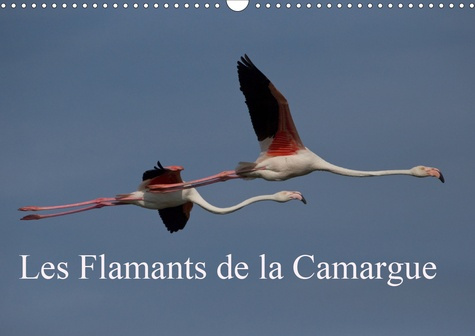 Emprunter Les Flamants de la Camargue (Calendrier mural 2020 DIN A3 horizontal). Scènes de la vie d'une espèce livre