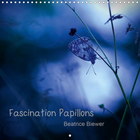 Emprunter Fascination Papillons (Calendrier mural 2020 300 × 300 mm Square). Le monde fascinant des papillons livre