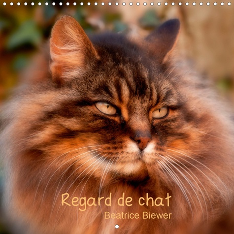 Emprunter Regard de chat. Toute l'intensité du regard d'un chat, Edition 2020 livre