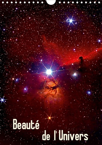 Emprunter BEAUTE DE L'UNIVERS (CALENDRIER MURAL 2020 DIN A4 VERTICAL) - PHOTOS DU SOLEIL, D'ETOILES ET DE NEBU livre