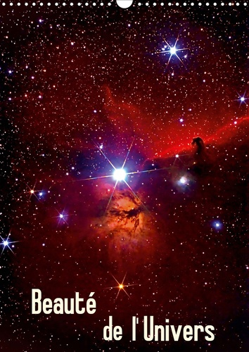 Emprunter Beauté de l'Univers. Photos du soleil, d'étoiles et de nébuleuses, Edition 2020 livre