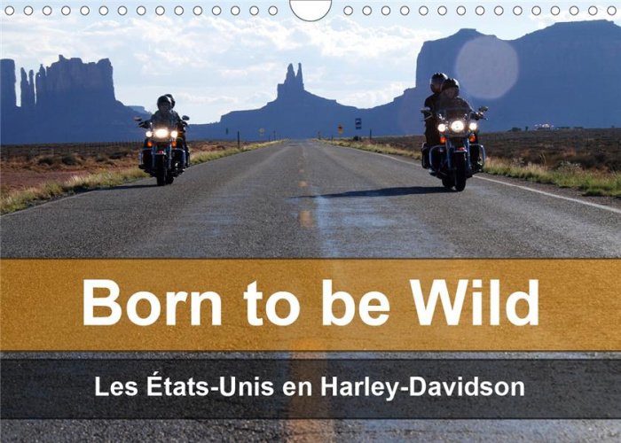 Emprunter BORN TO BE WILD - LES ETATS-UNIS EN HARLEY-DAVIDSON (CALENDRIER MURAL 2020 DIN A4 HORIZONTAL) - LES livre