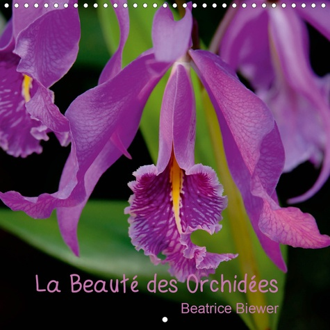 Emprunter LA BEAUTE DES ORCHIDEES (CALENDRIER MURAL 2020 300 * 300 MM SQUARE) - DES FLEURS FASCINANTES AU FORM livre