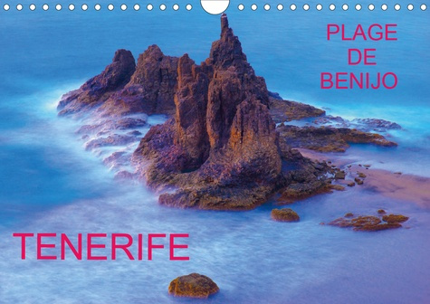 Emprunter TENERIFE PLAGE DE BENIJO (Calendrier mural 2020 DIN A4 horizontal). La plage solitaire de Benijo es livre