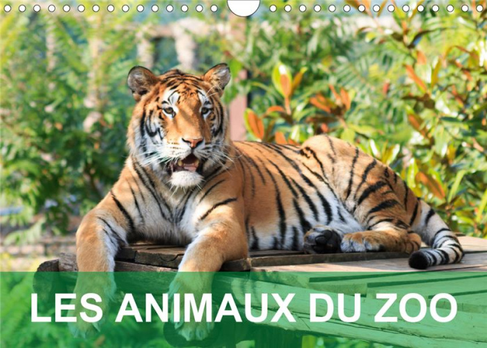 Emprunter LES ANIMAUX DU ZOO (CALENDRIER MURAL 2020 DIN A4 HORIZONTAL) - CALENDRIER AVEC DES PHOTOS TENDRES ET livre