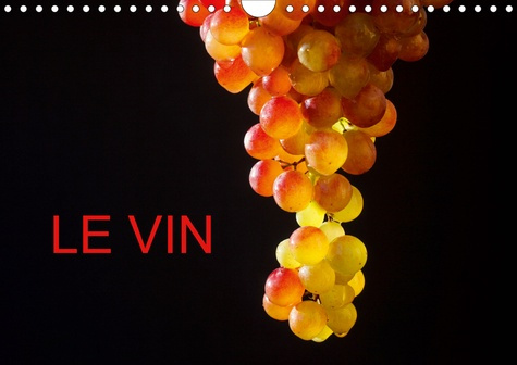 Emprunter LE VIN (CALENDRIER MURAL 2020 DIN A4 HORIZONTAL) - DE BELLES PHOTOS AUTOUR DU VIN (CALENDRIER MENSUE livre