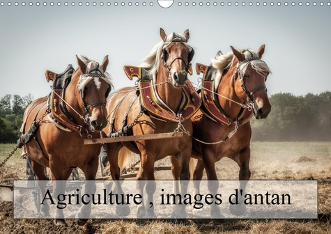 Emprunter Agriculture, images d'antan (Calendrier mural 2020 DIN A3 horizontal). Des images qui restent dans n livre