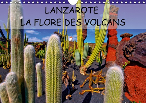 Emprunter LANZAROTE LA FLORE DES VOLCANS (Calendrier mural 2020 DIN A4 horizontal). LANZAROTE DES CHAMPS DE LA livre