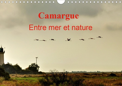Emprunter Camargue Entre mer et nature (Calendrier mural 2020 DIN A4 horizontal). Au cœur de la Camargue, entr livre