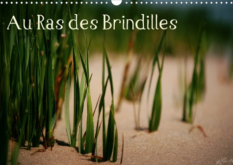 Emprunter Au Ras des Brindilles (Calendrier mural 2020 DIN A3 horizontal). L'objectif au milieu des herbes (Ca livre