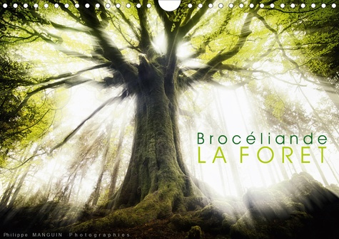 Emprunter BROCELIANDE, la forêt (Calendrier mural 2020 DIN A4 horizontal). photographies de la forêt de Brocél livre