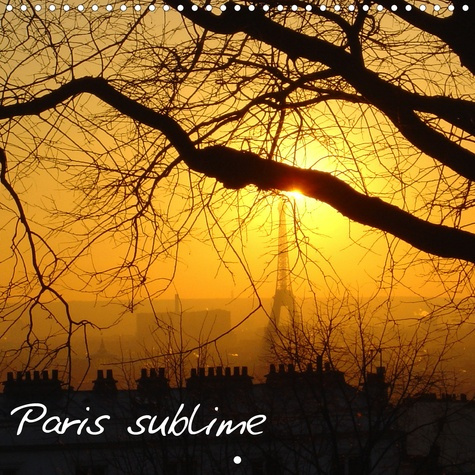 Emprunter Paris sublime (Calendrier mural 2020 300 × 300 mm Square). Calendrier avec des photos sublimes de Pa livre