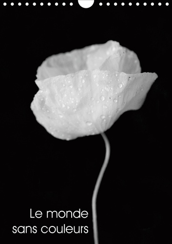 Emprunter LE MONDE SANS COULEURS (CALENDRIER MURAL 2020 DIN A4 VERTICAL) - UNE BELLE COLLECTION DE PHOTOS MONO livre
