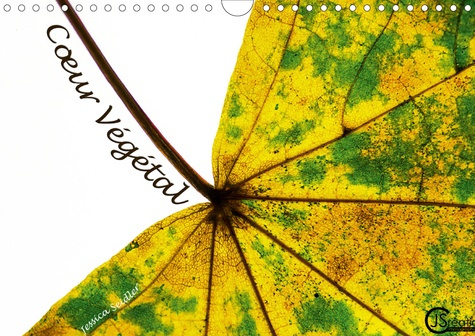 Emprunter Cœur Végétal (Calendrier mural 2020 DIN A4 horizontal). Au cœur des feuilles d'automne (Calendrier m livre