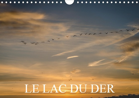 Emprunter Le lac du Der livre