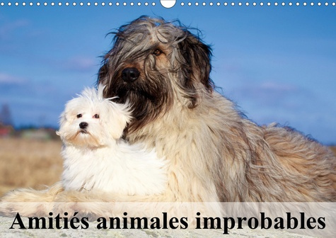 Emprunter Amitiés animales improbables. Edition 2020 livre