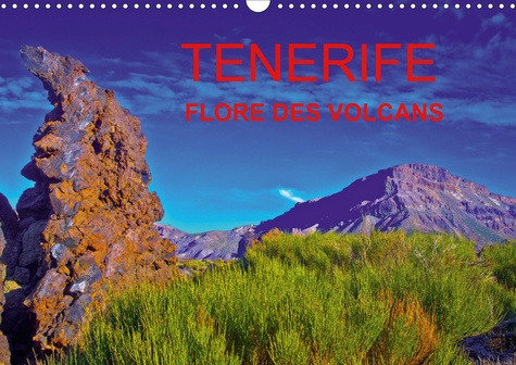 Emprunter TENERIFE FLORE DES VOLCANS (CALENDRIER MURAL 2020 DIN A3 HORIZONTAL) - DES CHAMPS DE LAVE BARIOLES D livre